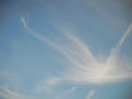 Cloud in shape that is resembling bird and wing Royalty Free Stock Photo