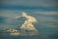 Cloud shaped like a rabbit with white and blue sky