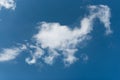 Cloud shaped like a race horse or seahorse