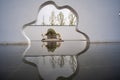 Cloud?Shaped Wall Opening Framing Manicured Tree With Reflective Water Royalty Free Stock Photo