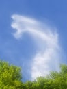 Cloud sky blue wispy angel abstract