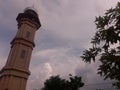 Cloud sky tree plant flower leaf