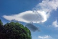 Cloud in the sunny sky taking fish shape Royalty Free Stock Photo