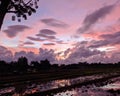 Cloud on sunset across reflective water in rice paddy
