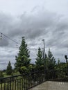 Cloud trees bridge light wind