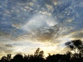 Cloud trees