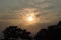 Cloud Trees and sun