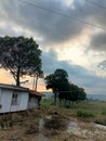 Cloud trees village