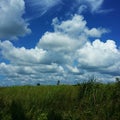 Cloud very blues in the sky.