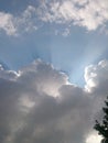 Cloud watching and Blue skys Royalty Free Stock Photo