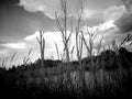 cloud watching sunset calm scenic country gravel road Royalty Free Stock Photo