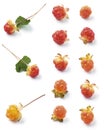 Cloudberries