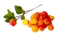 Cloudberries Royalty Free Stock Photo