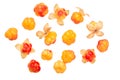 Cloudberries rubus chamaemorus, top, paths Royalty Free Stock Photo