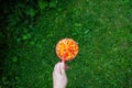 Cloudberry berry. Red Cup of ripe cloudberries in a man`s hand on a background of greenery