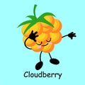 Cloudberry berry yellow character with face and smile. Kawaii sweets and desserts