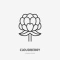 Cloudberry flat line icon, forest berry sign, healthy food logo. Illustration for natiral food store