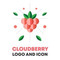 Cloudberry icon, logo, berry vector illustration. Flat cloudberry icon, logo design for food, cosmetic package. Flat