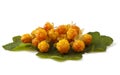 Cloudberry with leaves on white