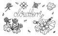 Cloudberry vector drawing