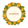 Cloudberry vector frame. Round label template with yellow orange berries and leaves. Northern bakeapple fruit banner