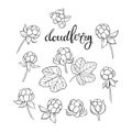 Cloudberry. Vector hand-drawn illustration on a white background. Collection of isolated outline elements for design.