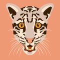 Clouded leopard vector head face Royalty Free Stock Photo