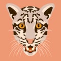 Clouded leopard vector head face Royalty Free Stock Photo