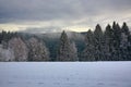 Cloudes and trees, winter landscape in ÃÂ umava in ÃÂ½eleznÃÂ¡ Ruda, czech republic