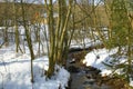 Cloudes and trees, winter landscape in ÃÂ umava in ÃÂ½eleznÃÂ¡ Ruda, czech republic