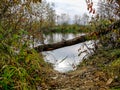 River West Morava in autumn Royalty Free Stock Photo