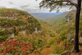 Cloudland Canyon State Park, Georgia, USA Royalty Free Stock Photo