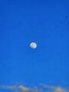 cloudless blue sky and full moon Royalty Free Stock Photo