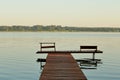 Green twig and the sunrise on the lake Royalty Free Stock Photo