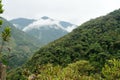 Clouds above the hills in the cloud forest