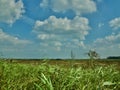 Clouds above the Norfolk landscape