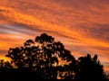 Clouds and beatiful skies