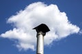 Clouds on the blue sky like a smoke from the chimney on the roof