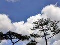 Clouds in the blue sky and view tree. Royalty Free Stock Photo