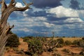 Clouds Building in the Arizona Desert Royalty Free Stock Photo