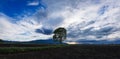 Clouds cape with a tree silhouette Royalty Free Stock Photo