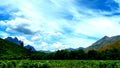 Clouds, CapeTown, Southafrica, Tree, Landscape Royalty Free Stock Photo