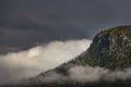 Clouds covering the pine forest giving a magical and mysterious effect on this landscape