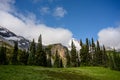 Clouds Covers Mount Rainier Behind Pine Trees and Field Royalty Free Stock Photo