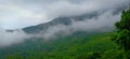 Clouds covers the valley at araku valley visakapatanam