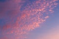 Clouds at Dawn Royalty Free Stock Photo
