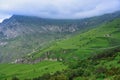 Clouds descend into the Ursdon mountain valley Royalty Free Stock Photo