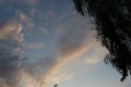 Clouds in the evening sky fascinate