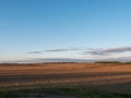 Clouds floating over a field with crops at dawn Royalty Free Stock Photo