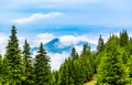 Clouds and fog covered mountain peak with evergreen conifers in Royalty Free Stock Photo